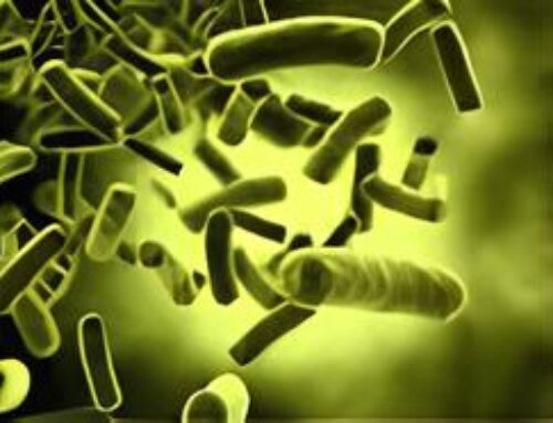 PILLOLE DI CONDOMINIO: Il controllo della qualità dell’acqua è a carico dell’amministratore