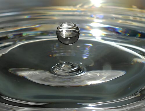 LA FREGATURA DEL DEPURATORE D’ACQUA GRATIS